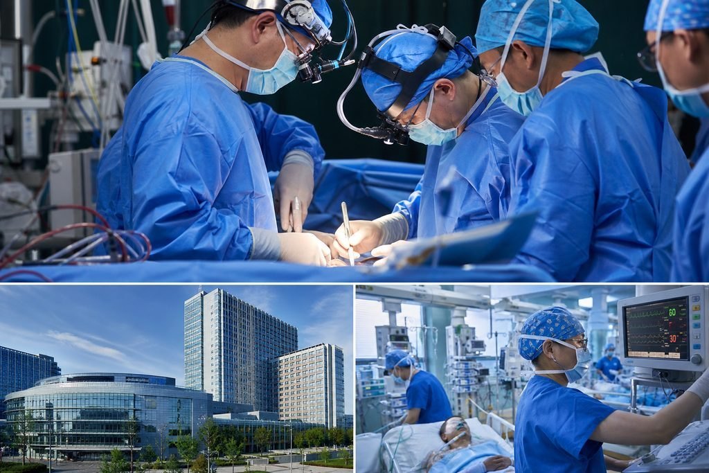 Editorial illustration: Adult Congenital Heart Surgery in China: Questions About Risks and Alternatives